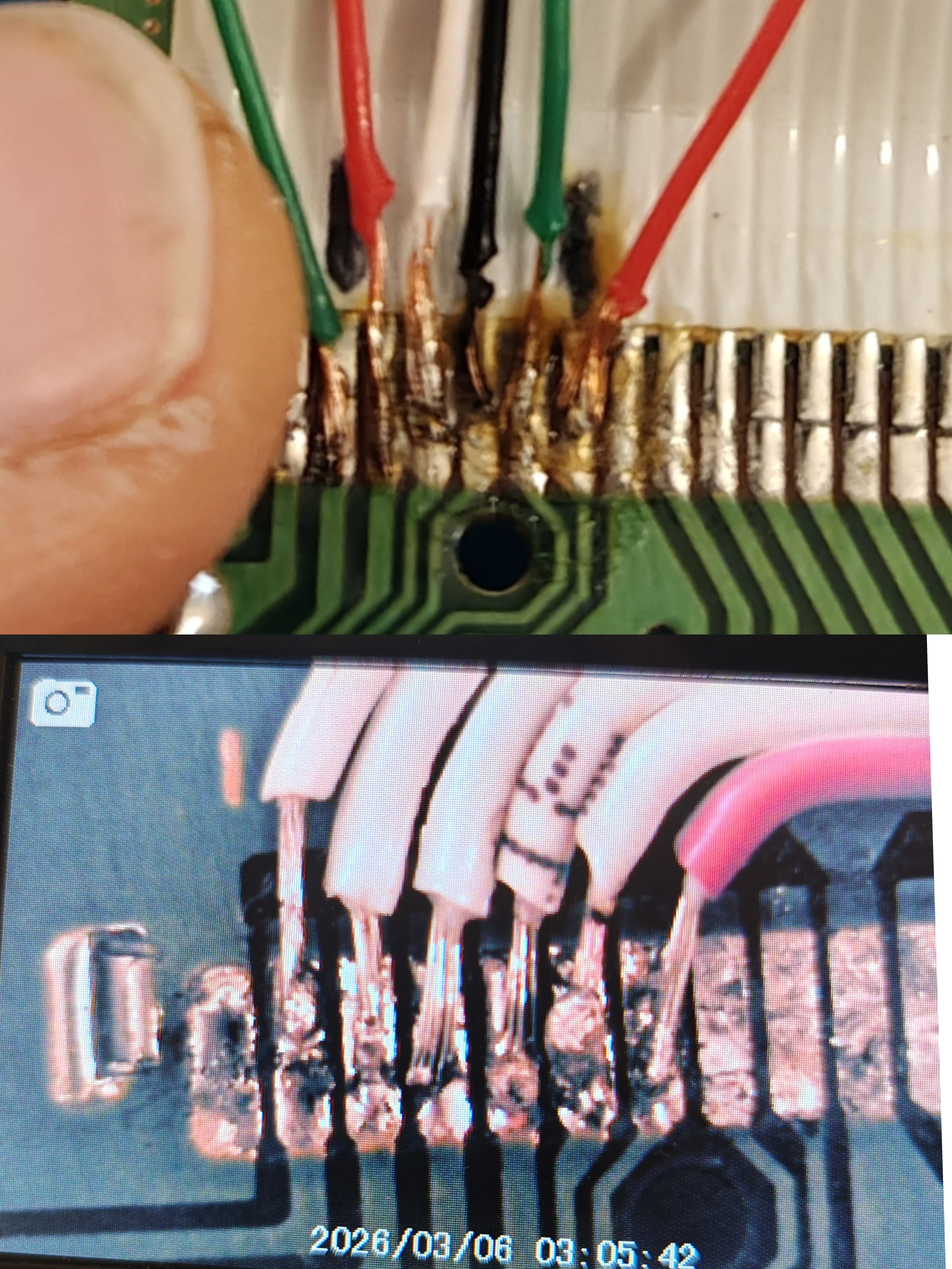 Microscope view